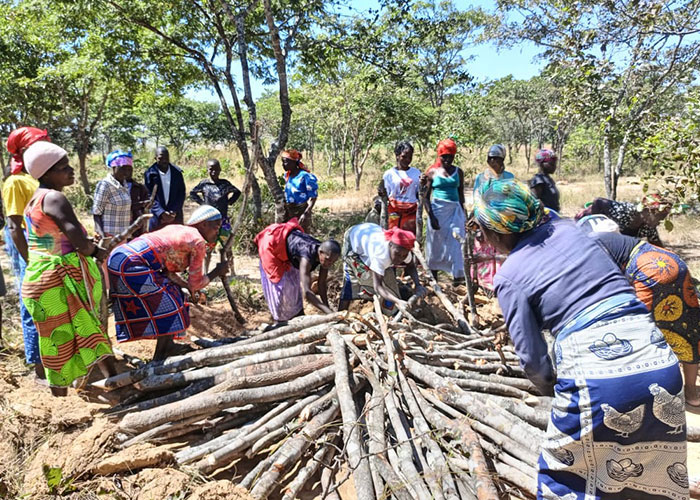 Mange kvinner og menn står rundt en stor haug med stablete trestammer som skal fyres opp og bli til kull. Foto: SOS-barnebyer Angola