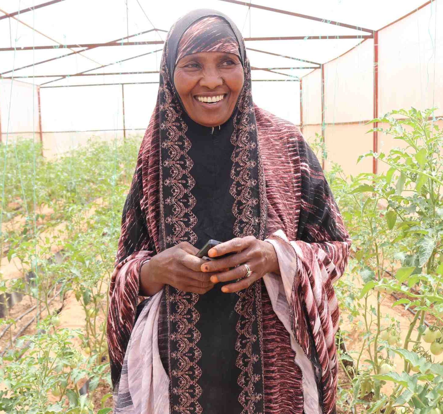 Familie i Somaliland som dyrker grønnsaker gjennom klimasmart landbruk.